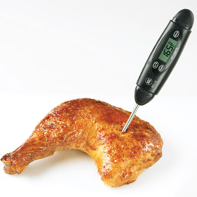 testing-chicken-temperature