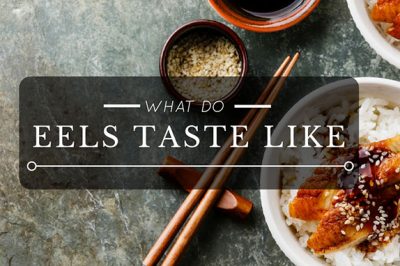What Does Eel Taste Like