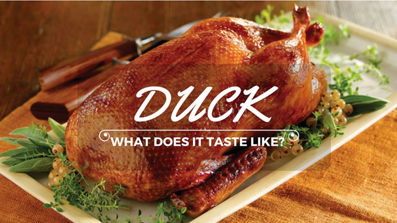 How does duck taste