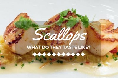 what do scallops taste like