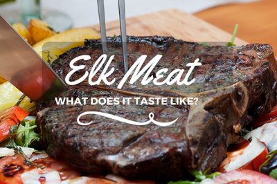 what does elk taste like