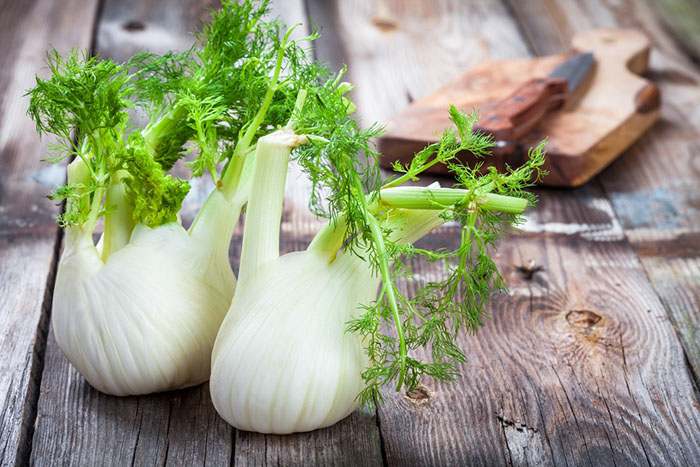 substitute for celery - Fennel