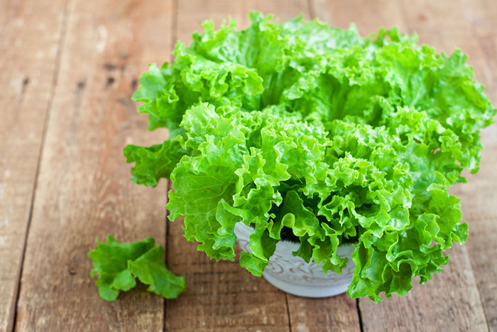 substitute for celery - Lettuce