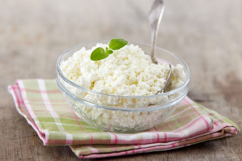 Cottage Cheese Archives CookNovel