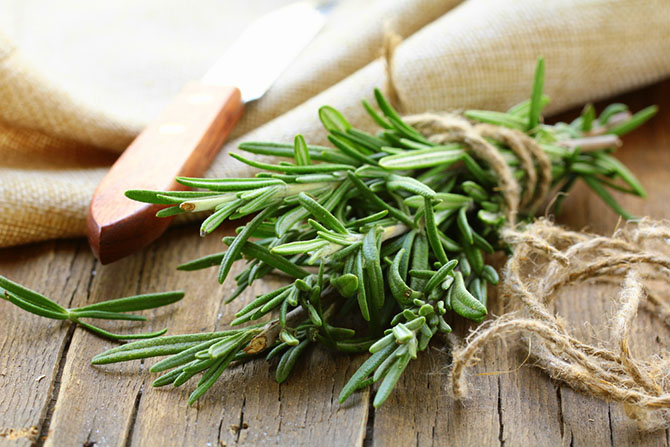 thyme substitute - Rosemary