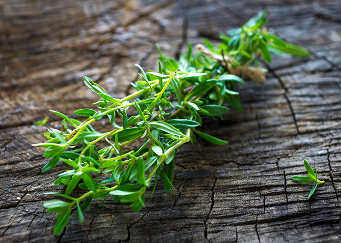 thyme substitute - Sage