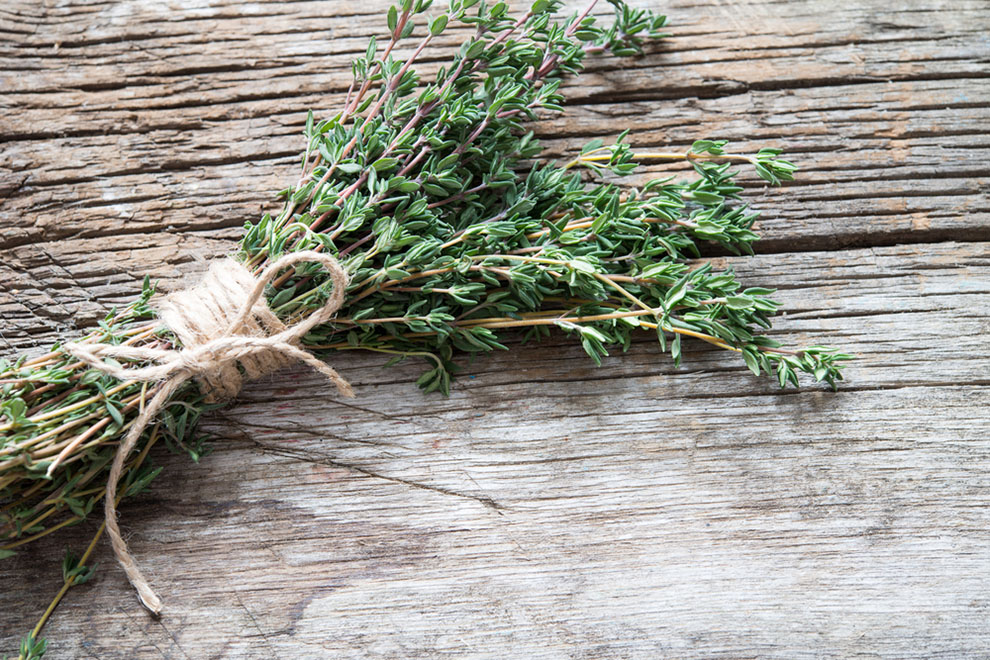 thyme substitute health benefits